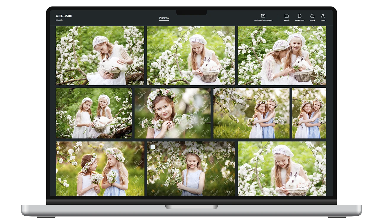 Galeria, która pracuje dla Ciebie